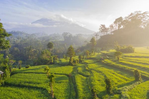 7 Lokasi Bulan Madu Paling Tenang di Bali, Cocok untuk Introvert
