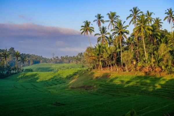 Tabanan konon berasal dari kata `taban` yang bermakna balai-balai yang terbuat dari kayu atau bambu