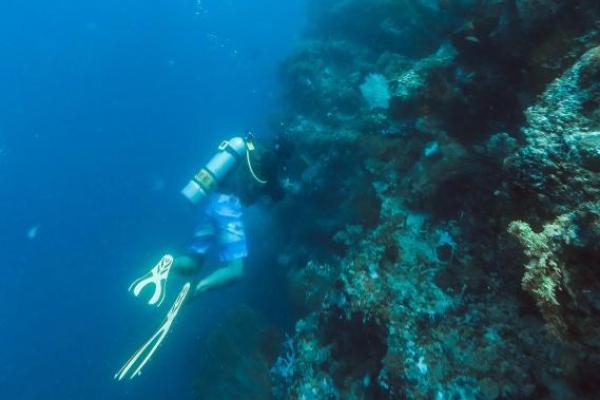 Mengapa Bali Menjadi Destinasi Favorit untuk Menyelam dan Snorkeling?