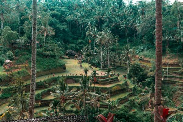 Sejarah Terasering di Bali, Warisan Budaya yang Mendunia