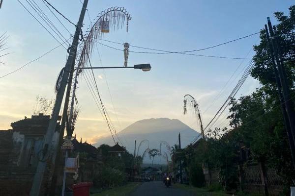 Janur kuning atau dikenal dengan sebutan `penjor`, digunakan sebagai ornamen dalam kegiatan keagamaan masyarakat Bali.