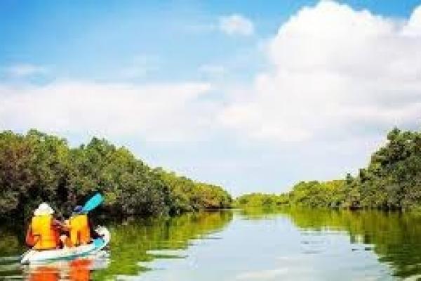 Hutan mangrove, atau hutan bakau, di Bali tidak hanya berfungsi sebagai pelindung garis pantai, tetapi juga menjadi tempat wisata edukasi dan ekowisata yang menarik