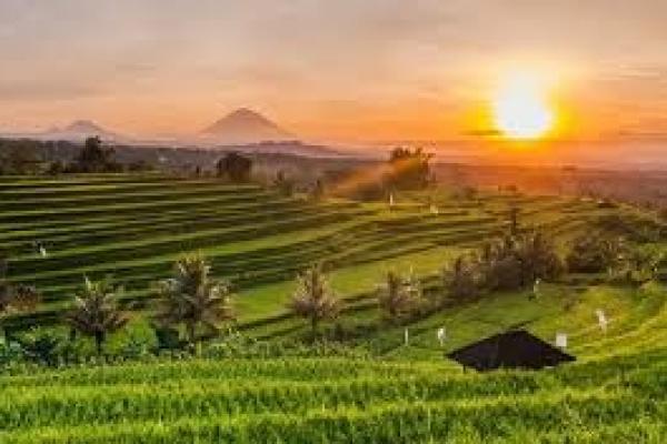 10 Homestay di Ubud yang Artistik dan Terkenal Intagramable